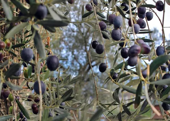 Velmer Ξενοδοχείο Lefke-Karadağ