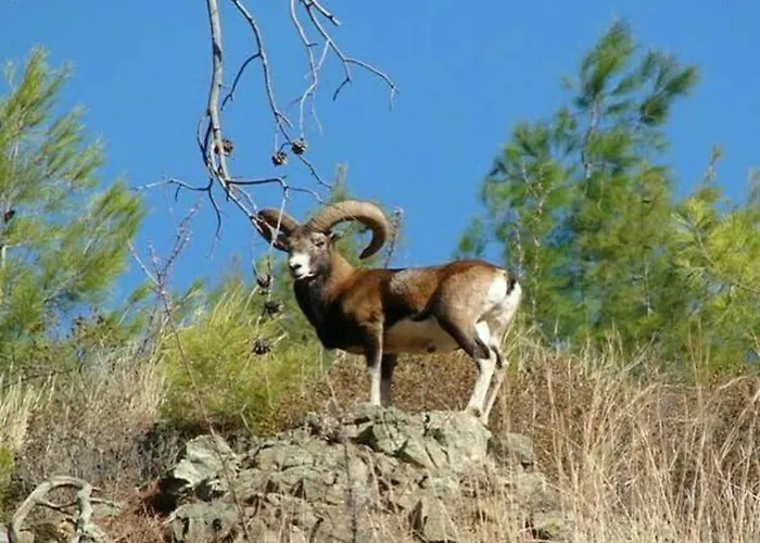 Velmer Ξενοδοχείο 4*