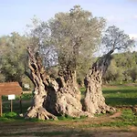 Velmer