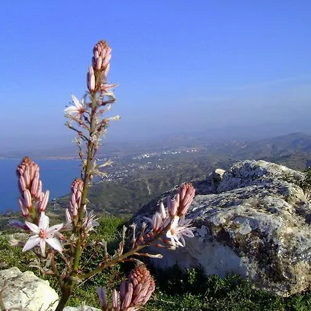Hotel Velmer Lefka (Northern Cyprus)