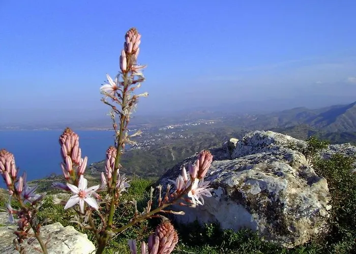 Отель Velmer Lefka (Northern Cyprus)